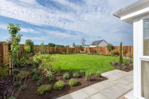 Back garden view