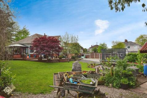 Garden 2.jpg