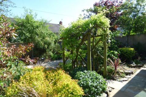 new Garden &amp; Lounge Pics (16).JPG