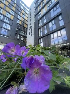 IMG-6543