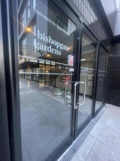 IMG-6547