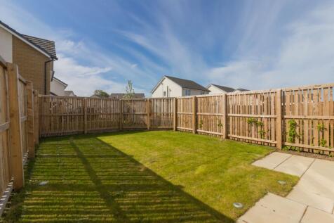 Back Garden