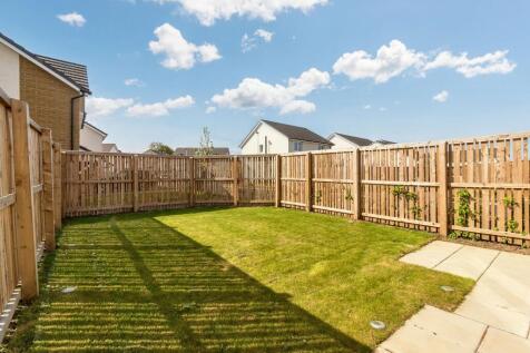 Back Garden