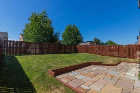 Back Garden
