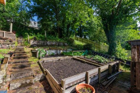Rear Vegetable Patch