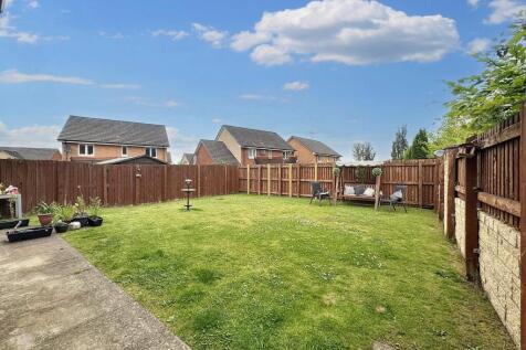Back Garden