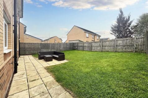 Back Garden