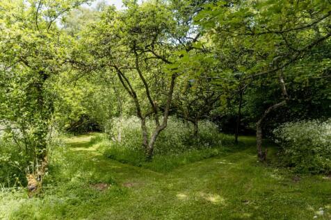 Property Image 21