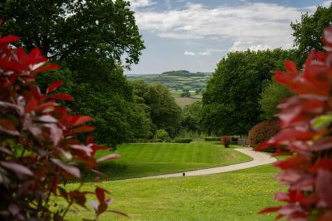 chedingtonsecondvisit-9056.jpg