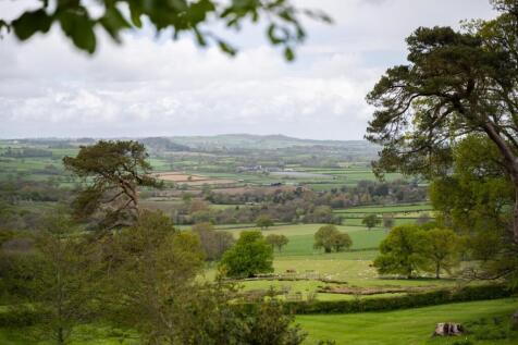 chedingtonfirstvisit-0544.jpg