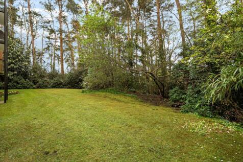 Communal Garden