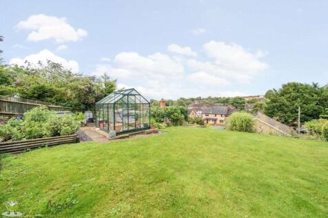 Garden at Back
