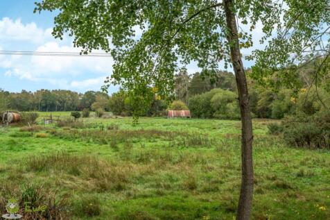 View From Rear Garden