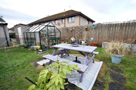garden .JPG