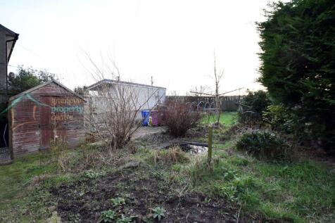 garden  .JPG