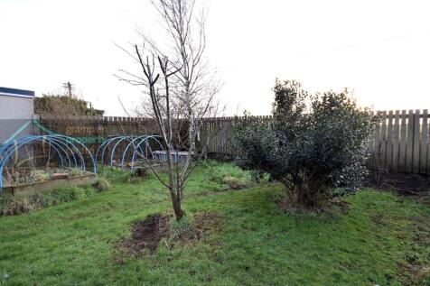 garden 2 .JPG