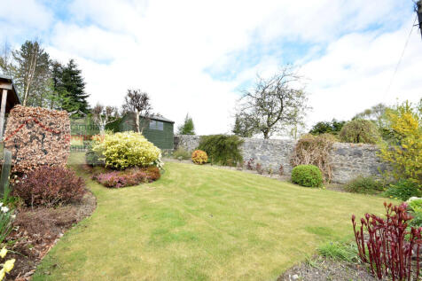 garden 4.JPG