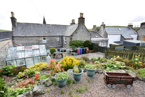 garden 5.JPG