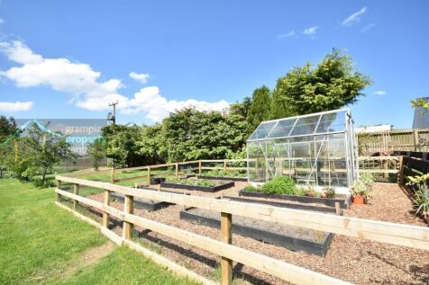 garden 1.JPG