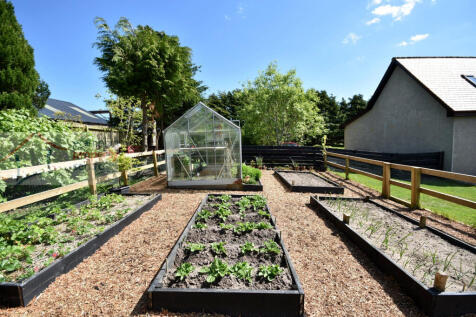 garden 4.JPG