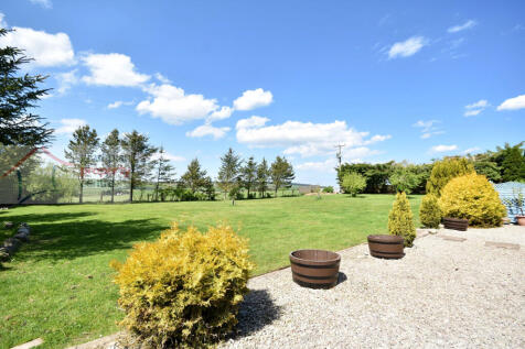 garden 3.JPG