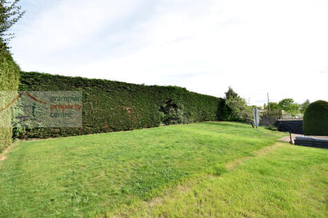 garden 4.JPG