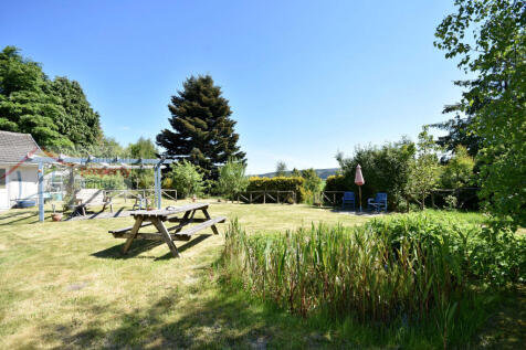 garden 2 .JPG