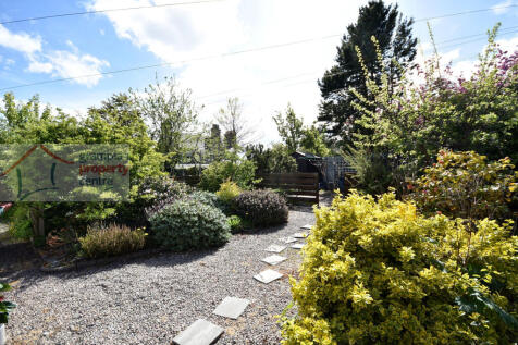 garden 2.JPG