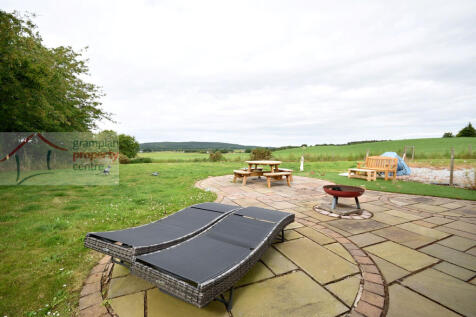 Garden 2 .JPG
