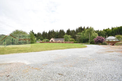 Driveway .JPG