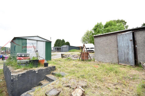 new garden 1.JPG
