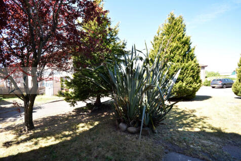 front garden .JPG
