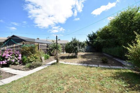 garden 3 .JPG