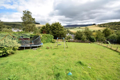 garden 4 .JPG