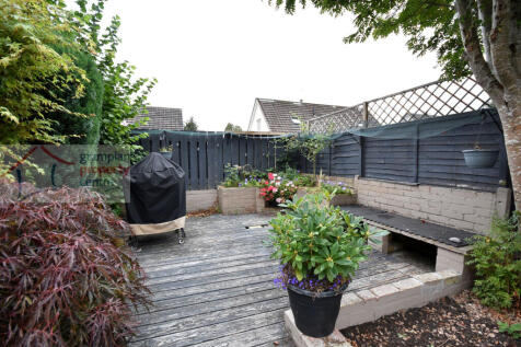 garden 2 .JPG