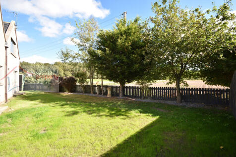 garden 2 .JPG