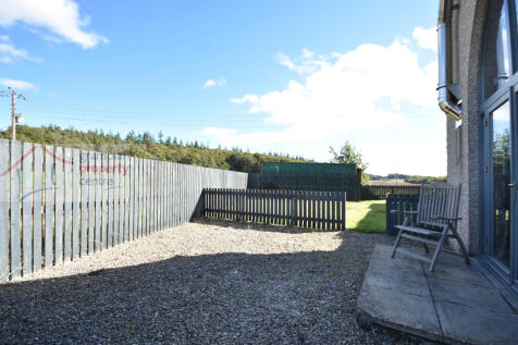 garden 3.JPG