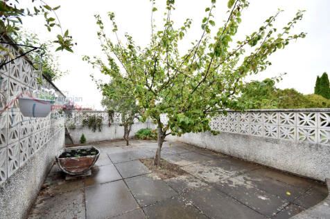 garden 2 .JPG