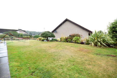 garden 3.JPG