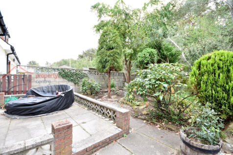 garden 2 .JPG