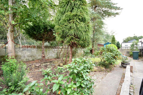 garden 3 .JPG
