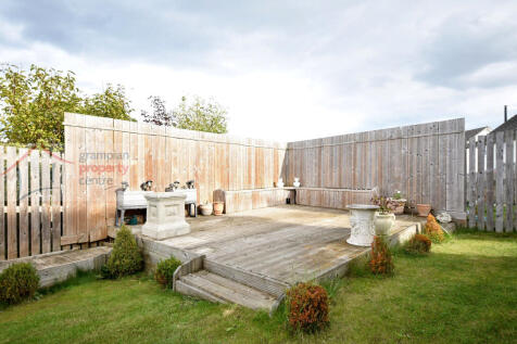 garden 2 .JPG