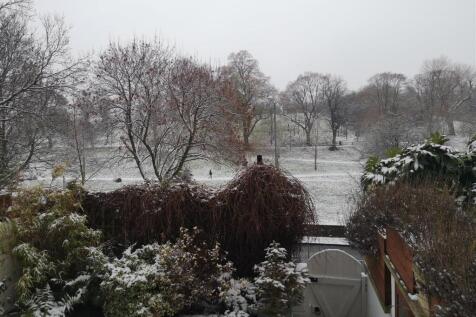 A Winter View