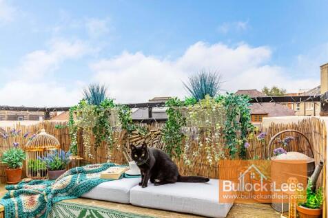(Cat not included :)