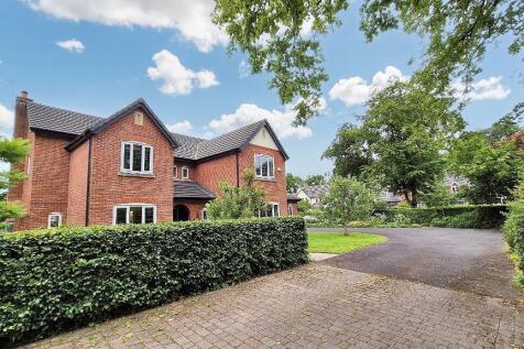 Property Image 41