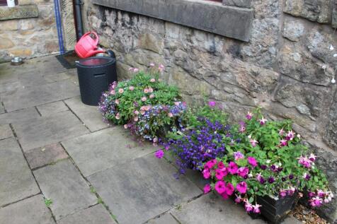 Rear Yard