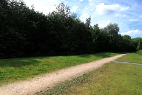 Path to Front
