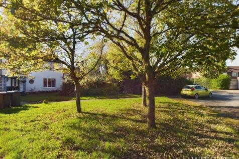 Green infront of house