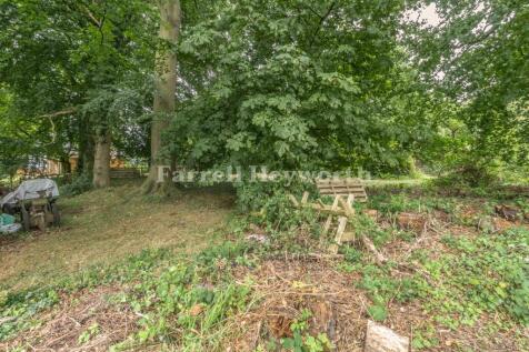 Side Garden 5
