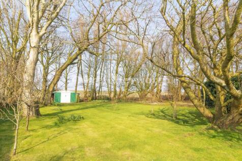Rear Garden view 3